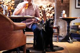 Inside Pub With Dog